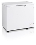 Zamrażarka Tefcold CF 300
